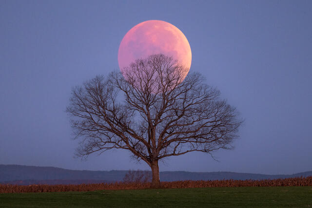 Lunar Eclipse 2022 print