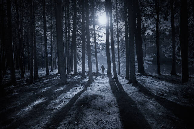 Moon Shadows print