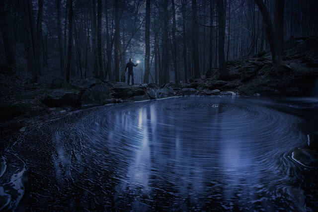 Night Watcher print