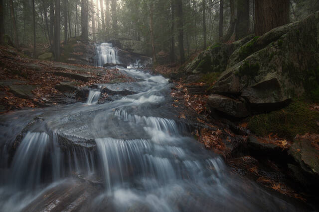 November Fog print