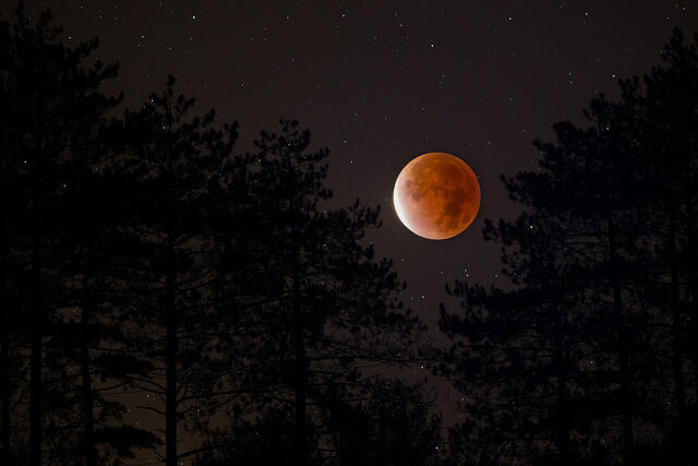 Partial Lunar Eclipse 2021 print