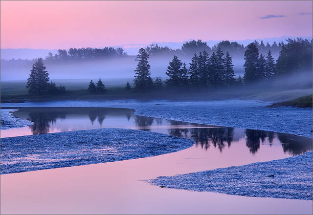 Pink Dawn print