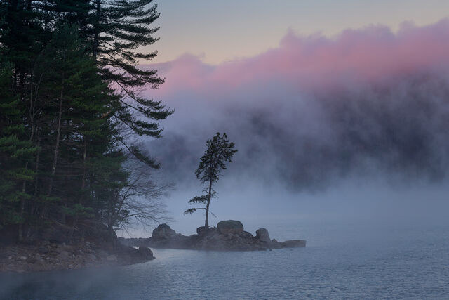 Pink Fog print