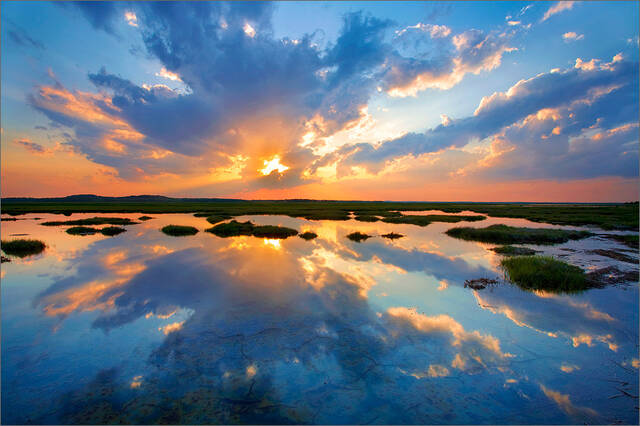 Plum Island Reflection print