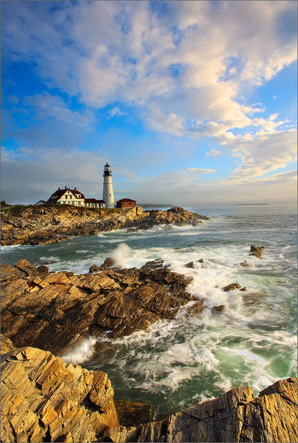 Portland Head Light print