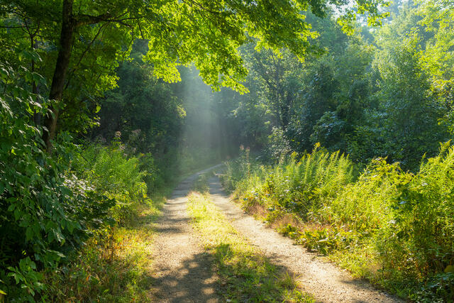 Quabbin Fog III print