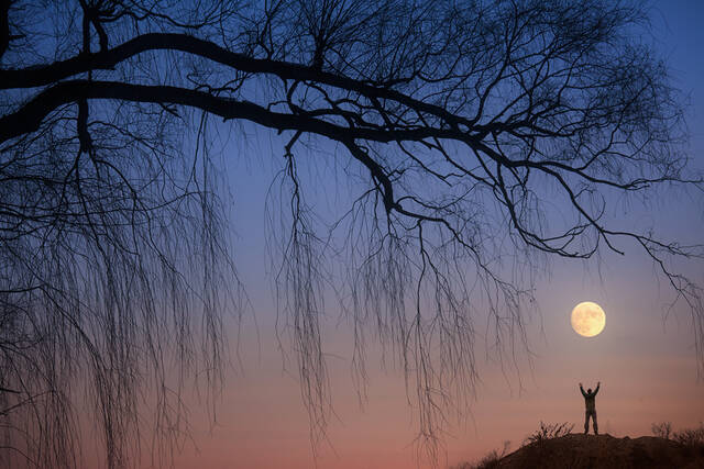 Reaching for the Moon print