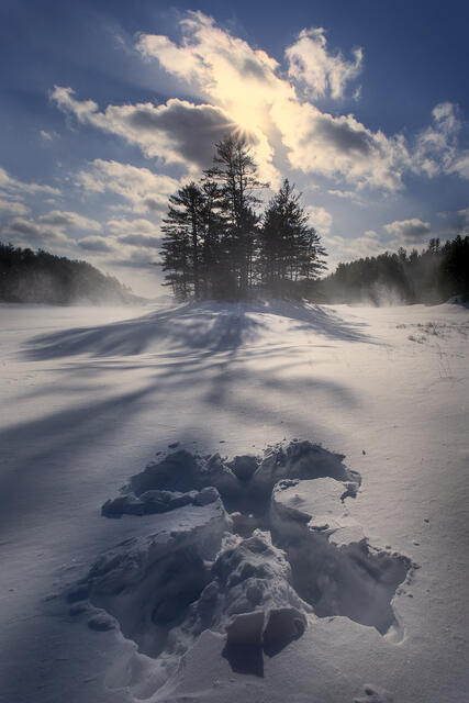 Snow Angel print