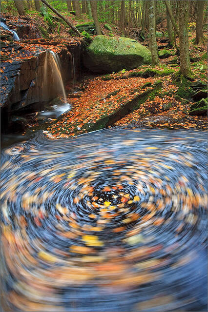 Spiral print