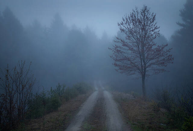 Spring Fog print