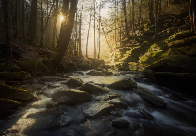 The Light print