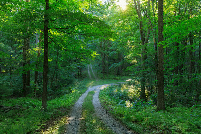 Two Roads print