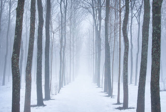 Winter Fog print