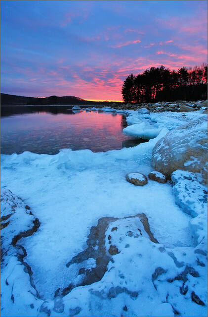 Winter Pink print