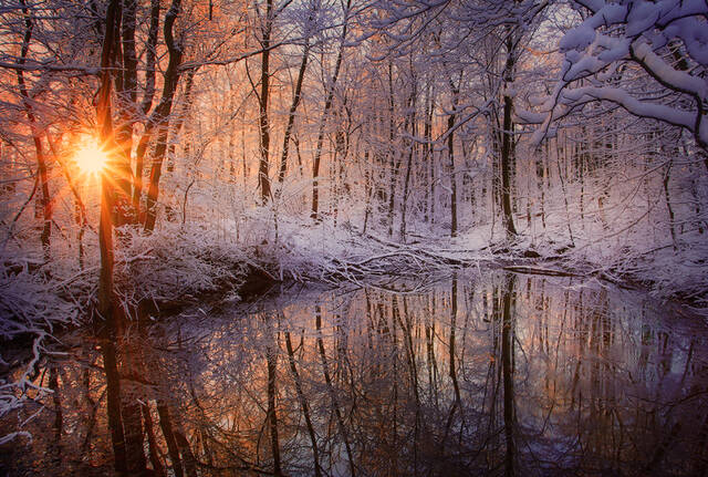 Winter Reflections print