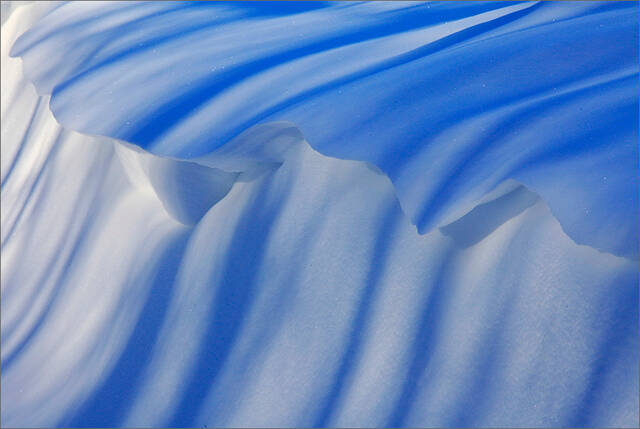 Winter Wave print