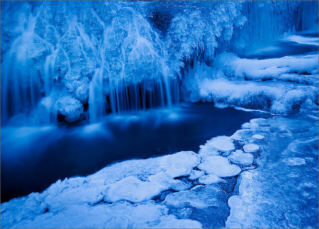 Winter Wonderland print