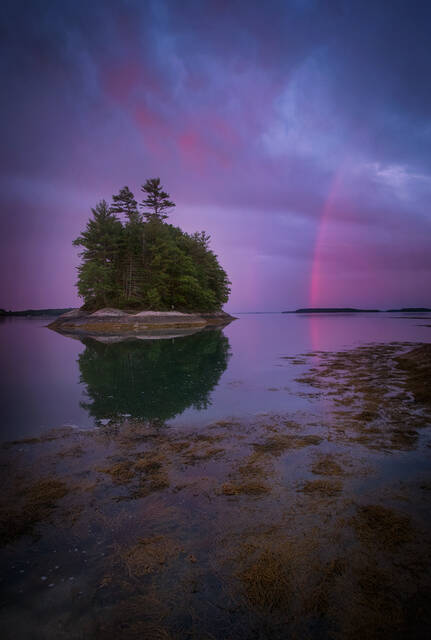 Wolf Neck State Park print