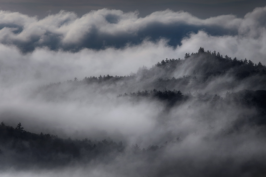 fog, Quabbin Reservoir, Massachusetts, Patrick Zephyr, sunrise, dawn, trees, blanket