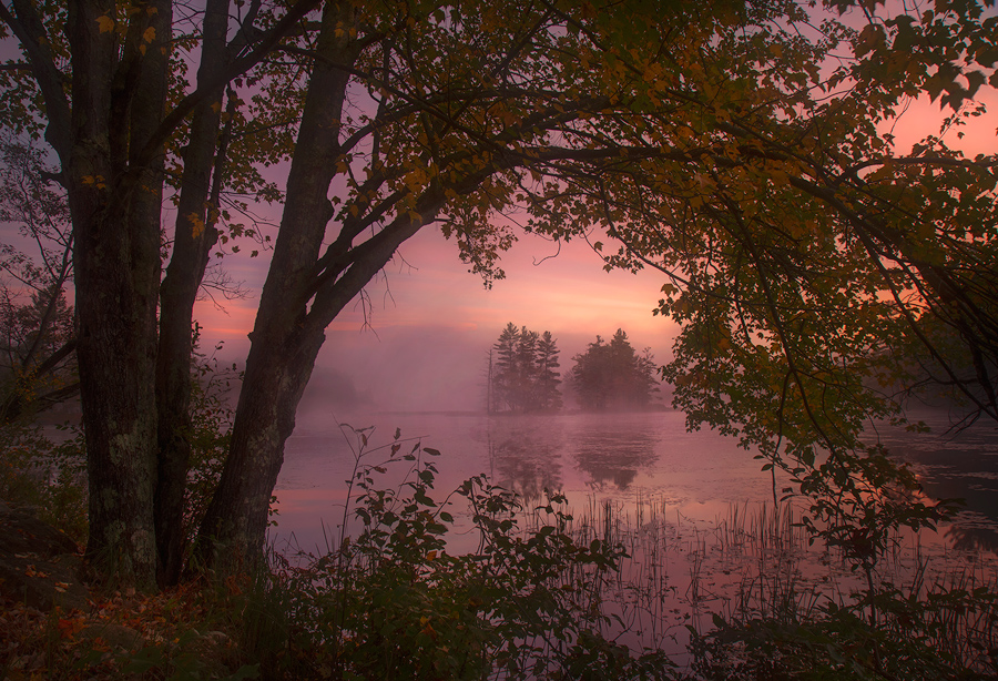 autumn, sunrise, island, fog, Massachusetts, Patrick Zephyr, New England, dawn, Harvard Pond, Petersham