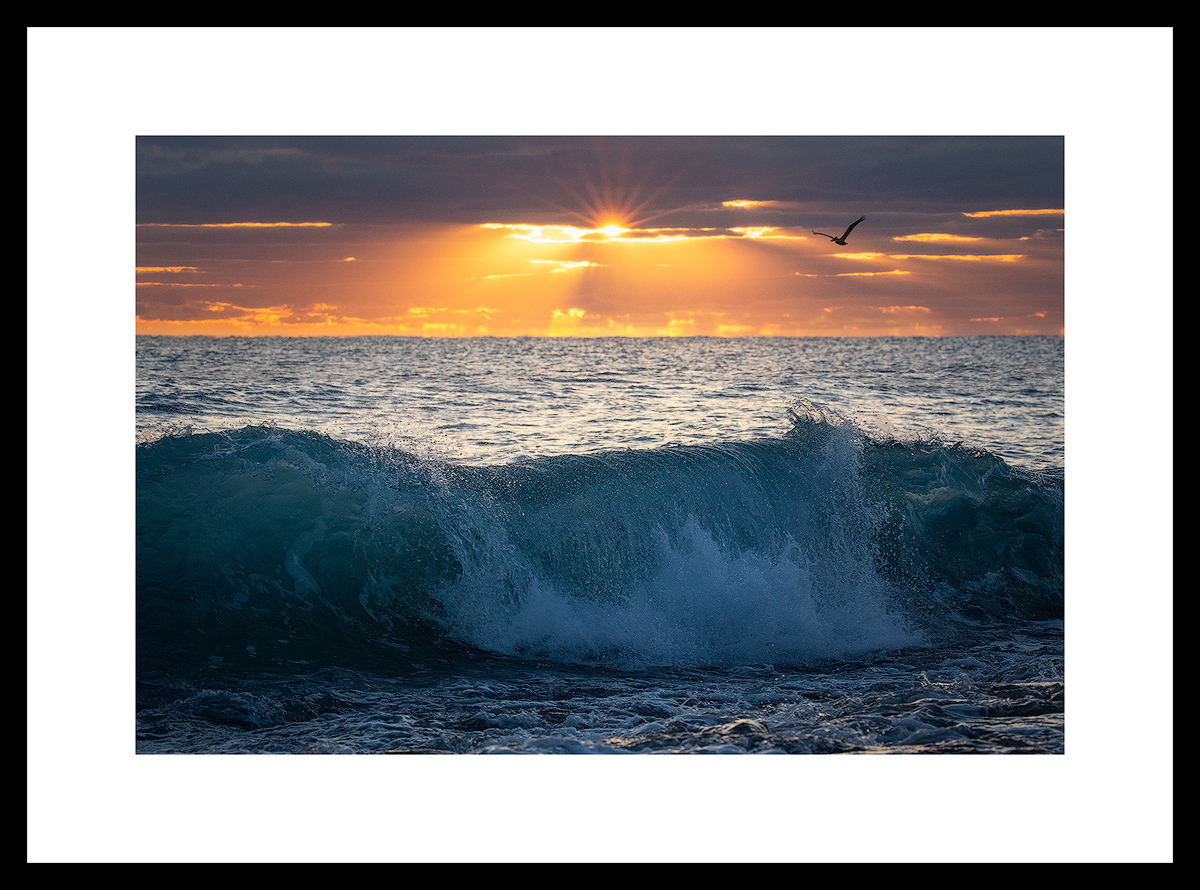 MATTED AND FRAMED PRINT - BLACK FRAME print preview