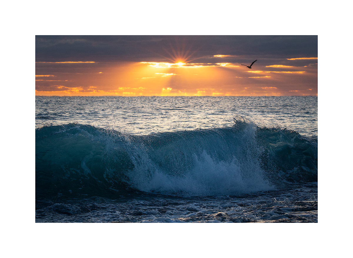 MATTED PRINT print preview