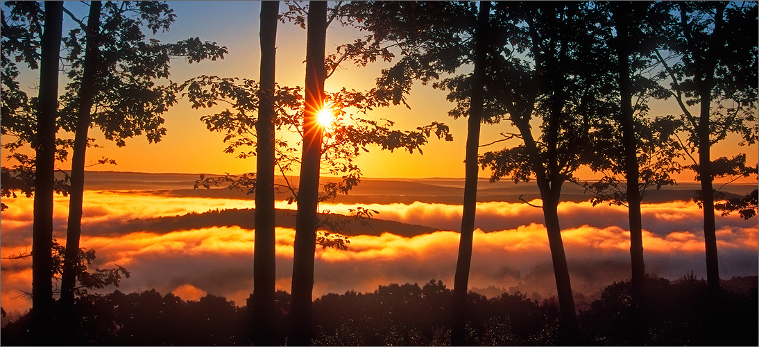 Quabbin reservoir, Massachusetts, fog, sunrise, trees