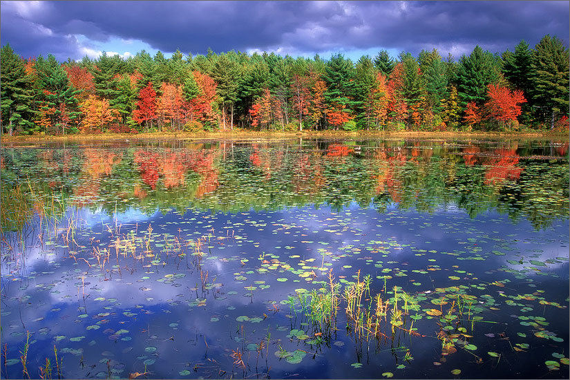 Wendell, Massachusetts, ruggles pond, autumn