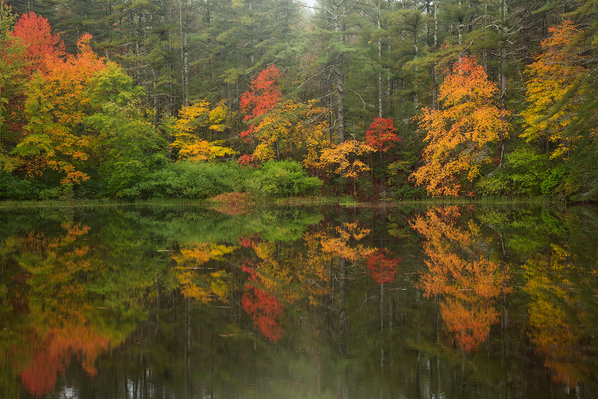 autumn foliage, reflection, Massachusetts, pond, lake, patrick zephyr