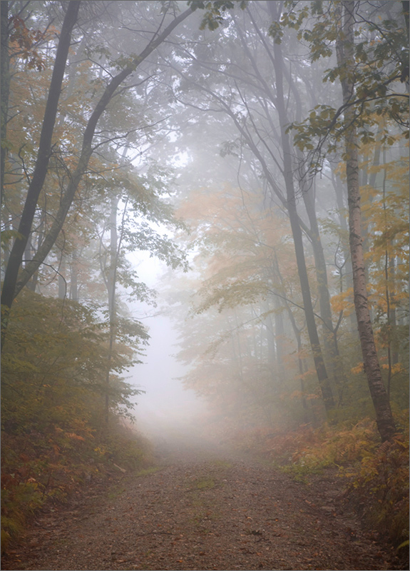 Quabbin reservoir, Massachusetts, autumn, forest, fog