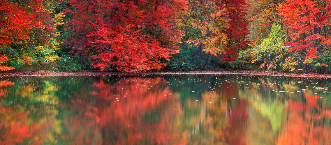 Autumn, reflection, Amherst, Massachusetts,