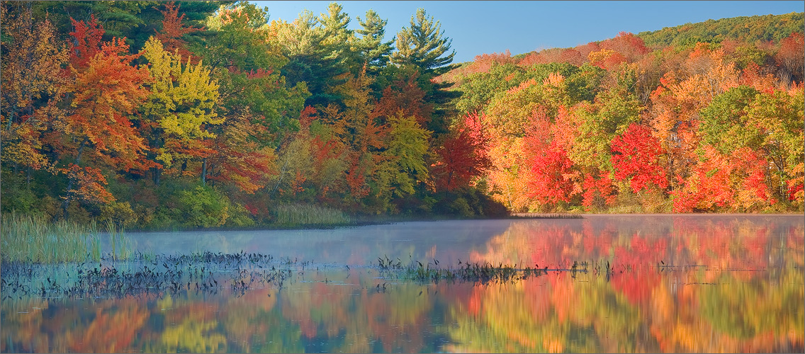 Autumn, reflection, fog, dawn, Massachusetts,