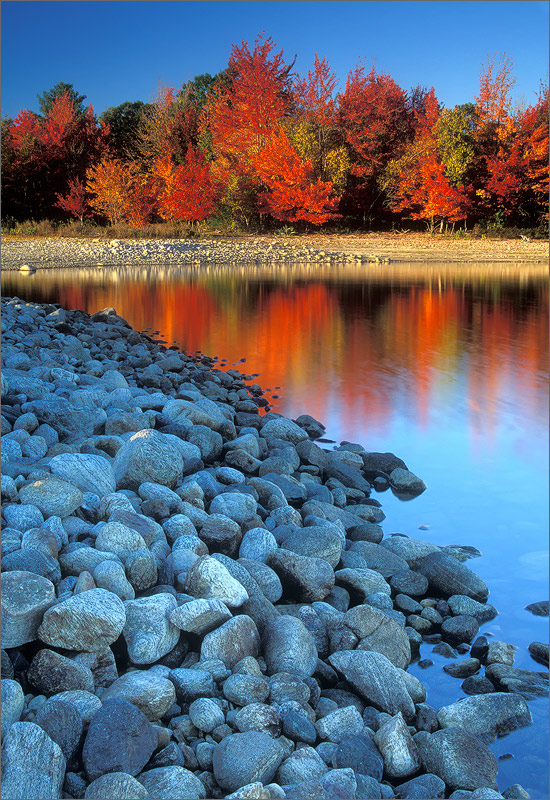 Quabbin reservoir, Massachusetts, autumn, red maple, rocks