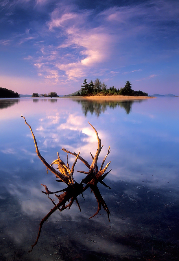 Quabbin reservoir, sunrise, Massachusetts, driftwood