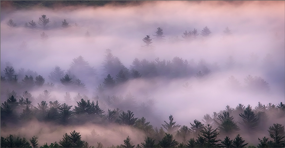 Fog, quabbin reservoir, Massachusetts, pink, sunrise