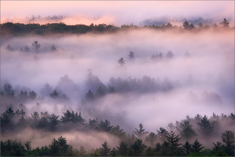 Quabbin Reservoir, fog, forest, sunrise
