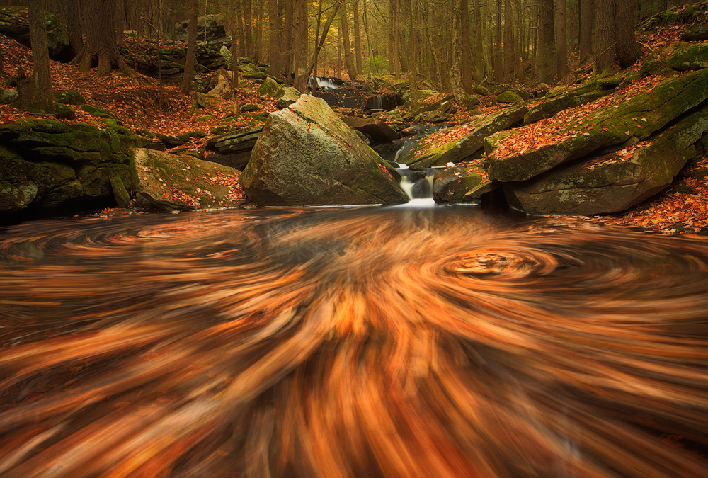 Another from this special place near my home. I had some fun with the fallen leaves on this glorious autumn morning. This is...