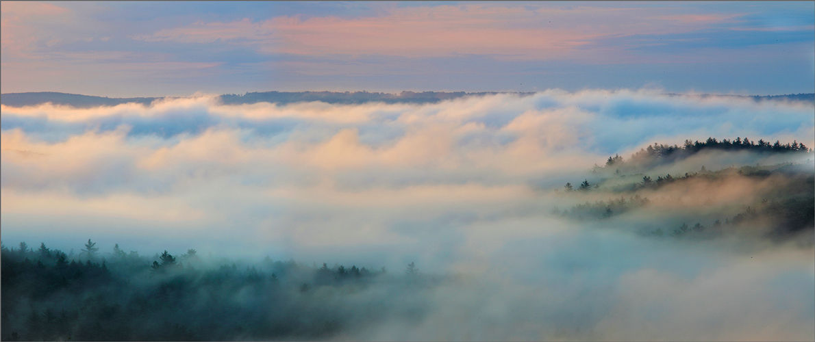 Quabbin reservoir, Massachusetts, fog, sunrise, trees