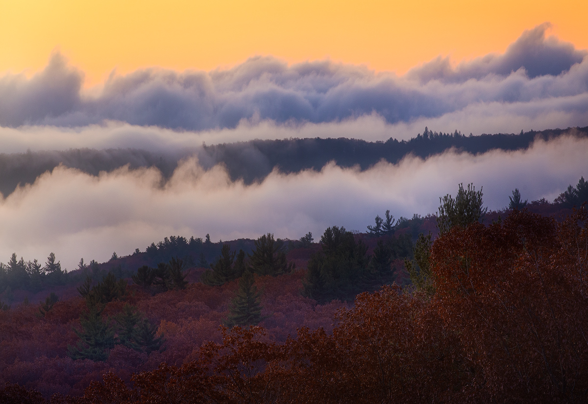 fog, autumn, foliage, sunrise, dawn, massachusetts, pelham, patrickzephyr