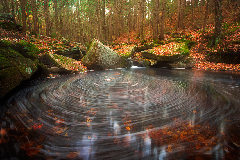 This stream near my home is teaching me so much about the value of environmental conditions and light and how even the subtlest...