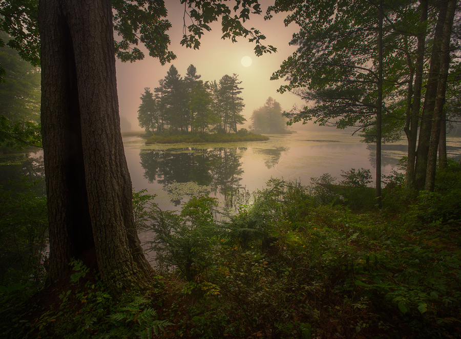 Enchanted
