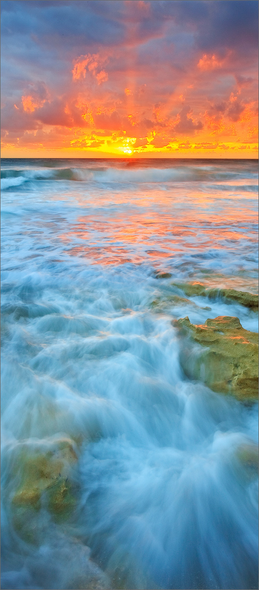 Florida, ocean, sunrise, coral cove,
