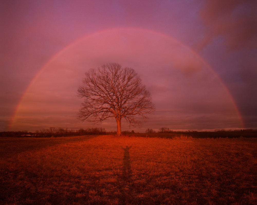 I've been lucky enough to witness a few of these over the years. A rainbow is a special site but a rainbow in a magenta sky takes...