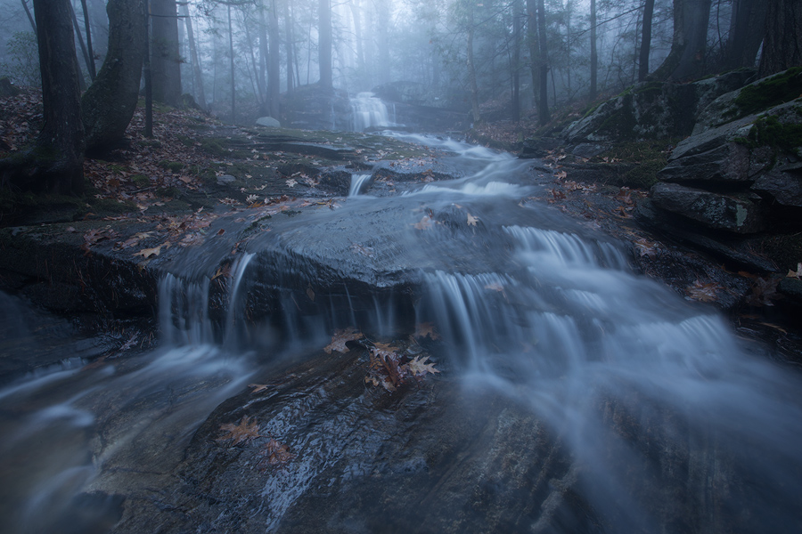 On a quick run down to one of my favorite forest spots I was greeted with some magical evening fog.