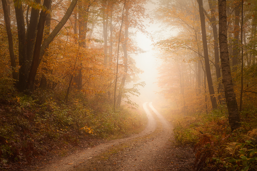 I have wandered down this trail into the glowing fog more times than I can remember over the last 20 years and always return...