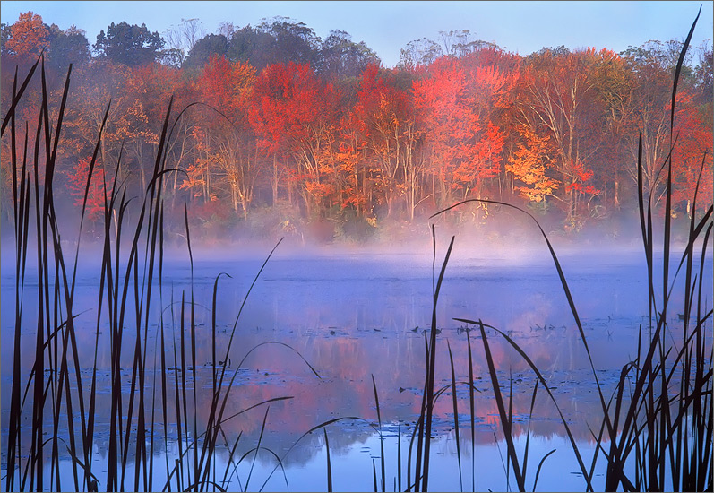 Connecticut, pond, autumn, sunrise