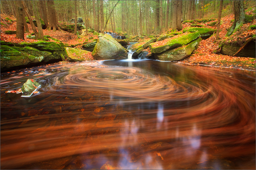 I have visited this stream many times and always find a different surprise waiting for me. My camera was set up just about the...