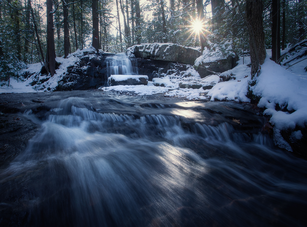 Sunrise in the forest near home. I'm lucky to have a spot like this close to home!