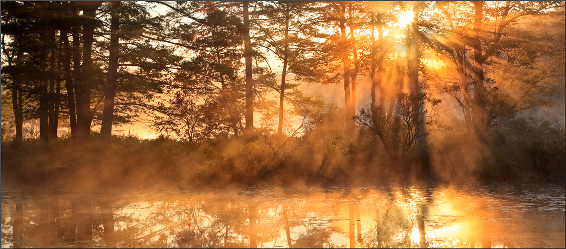 Harvard pond, petersham, Massachusetts, island, sunrise, sun rays