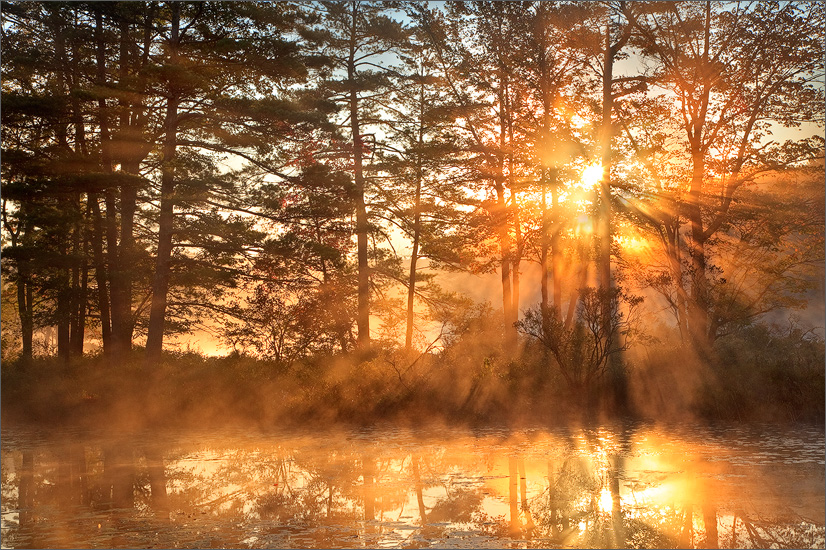 An autumn morning when the fog dances on the pond at sunrise. Although Harvard Pond is beautiful any time of year, I find myself...